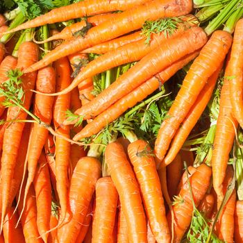 A detailed background image of freshly harvested carrots