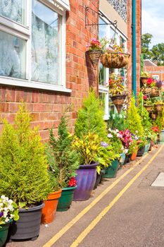 A neat row of pot plants outside a house