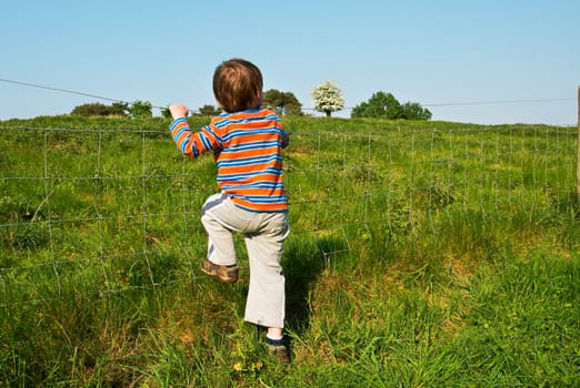 Young boy in the countryside on a sunny day