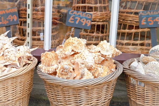 Baskets of shells for sale at a souvenir shop