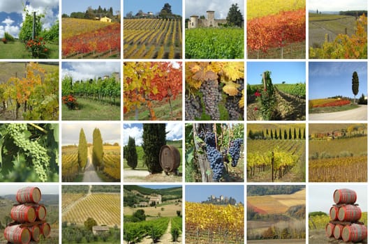 collage with beautiful landscape of vineyards in Chianti region,Tuscany, Italy, Europe