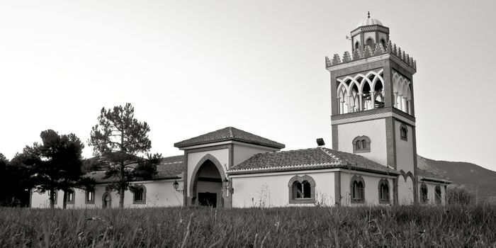 Andalucian mosque in monochrome