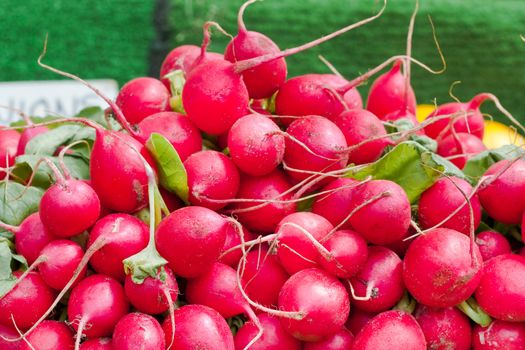 Fresh radishes at a market stall