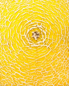 Detailed texture of melon skin as a vibrant background