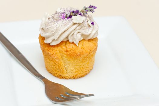 A delicious lavender flavour cupcake on an elegant white plate with plenty of copyspace