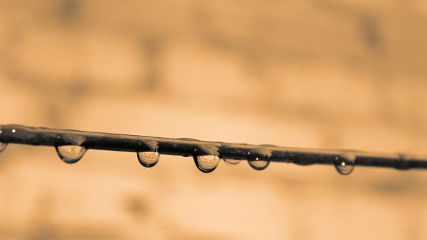 Metal wire with hanging drops of water on strongly vague brick wall background. Sepia, close-up