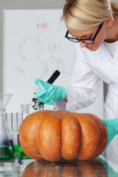 Scientist conducting genetic experiment with pumpkin