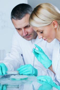 Chemistry Scientist conducting experiments in laboratory