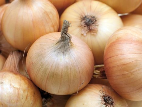 Healthy onion vegetable food for freshness eating