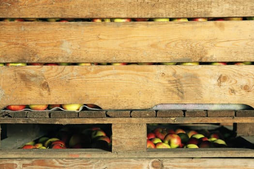 Red and yellow apples seen through slits of crate