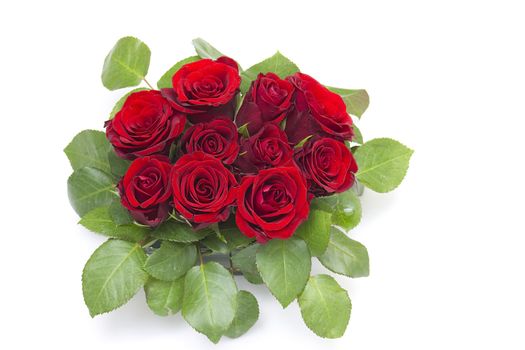red roses