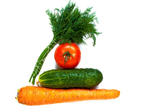 Vegetable food - tomato, cucumber, carrot, dill