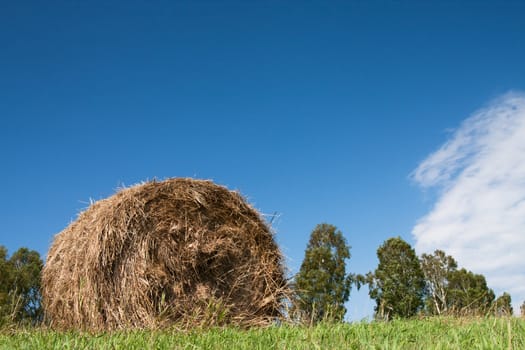 bale of hay against the blue sky