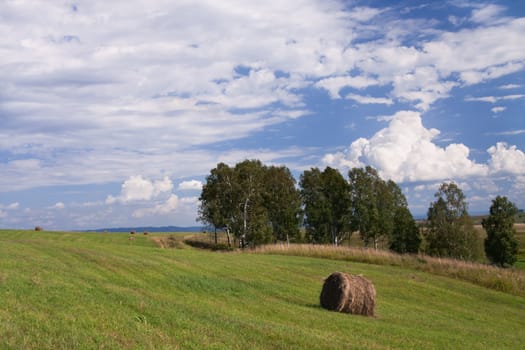 bale of hay against the blue sky