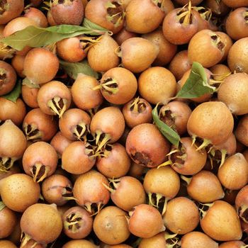 common medlar ( Mespilus germanica ) as background, market in Italy