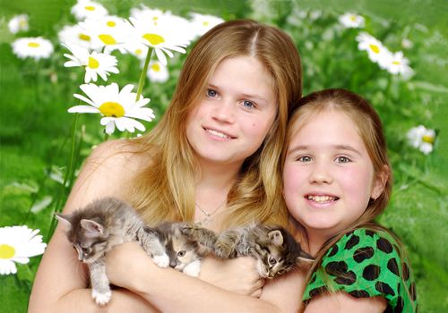two girls and three tiny kittens on camomile background