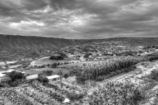 orchard in the region of the Sierra in the Andean cordillera in Ecuador