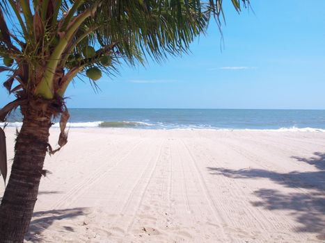 Tropical beach with coconut palm trees in Thailand