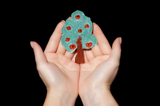 tree in the hands on a black background