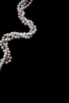 White and pink pearls on a black velvet background 