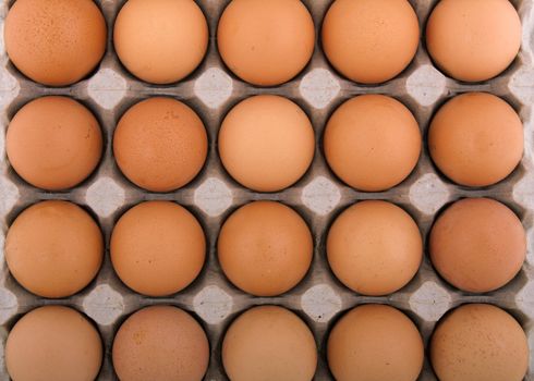 Chicken egg food carton package background