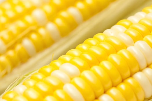 Corn, close-up.