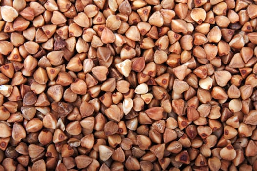 Healthy eating cereal food - brown buckwheat seed