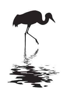 silhouette of the crane