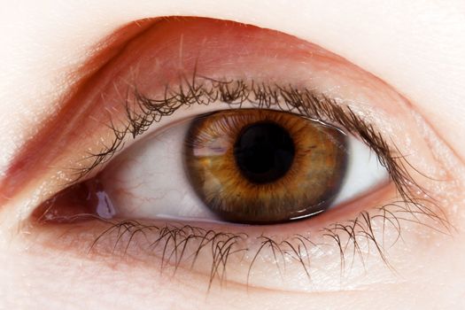 Human body part - beauty looking women eye macro