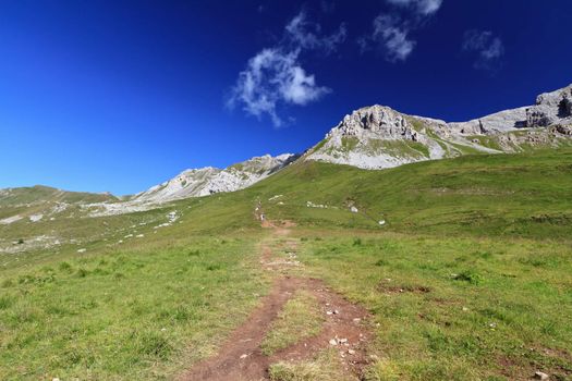 summer landscape of Italian Dolomites in San Pellegrino pass on a bright sunny day