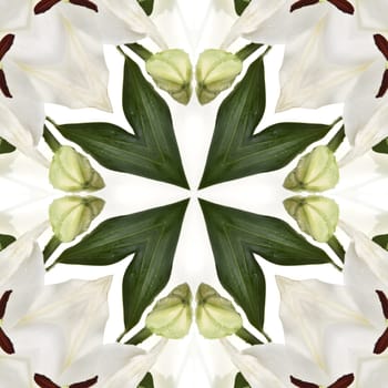 an abstract kaleidoscope background on white background