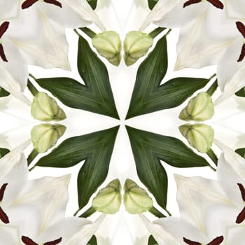 an abstract kaleidoscope background on white background