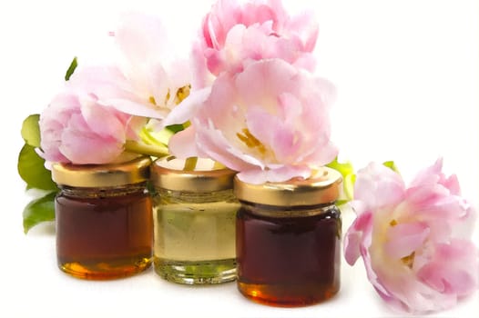 picture of the Italian Honey  on white background
