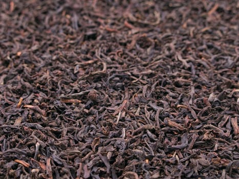 Black tea crop leaf for healthy lifestyle drink