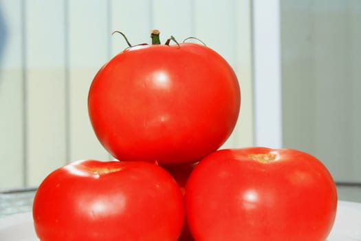 Close up of the red tomatos on a plate.
