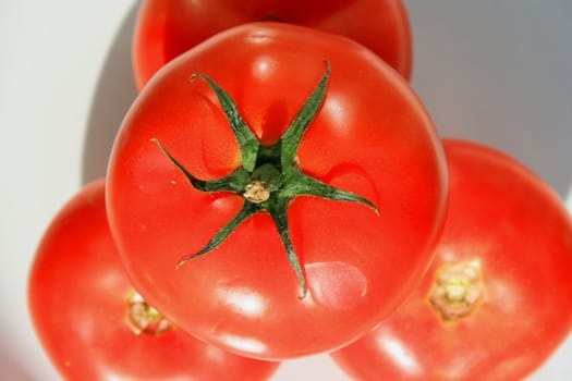 Close up of the red tomatos on a plate.
