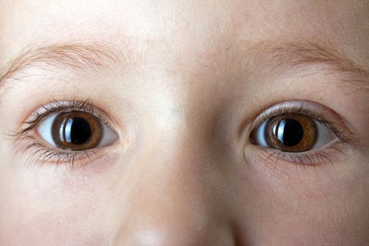 Little human baby child looking eye on face macro