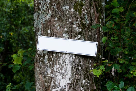 White blank sign on a tree in forest