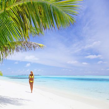 woman in bikini under palm on sea background