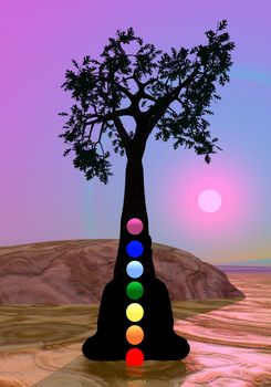 Meditation and chakras under by tree by violet sunset