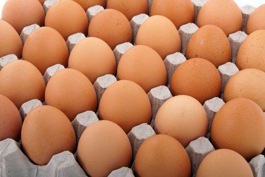 Chicken egg food carton package background