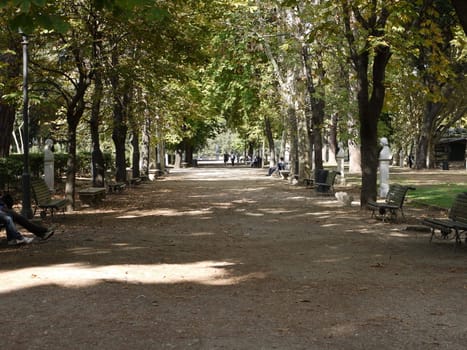 wide alley in a park in rome