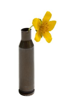 Peace symbol - nature flower in gun bullet shell