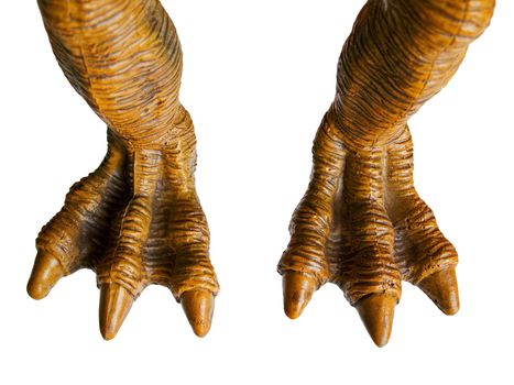 Monster toy or animal dinosaur spooky horror foot