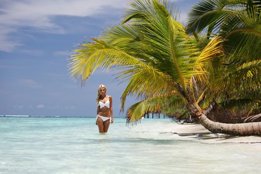 woman under palm sea on backgroud