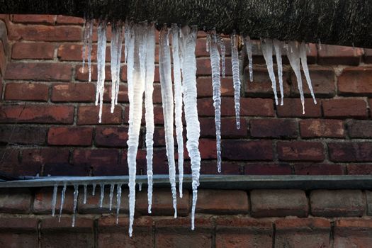 Cold snow winter frozen ice melting icicle on wall