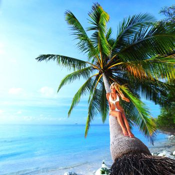 woman on palm sea on backgroud
