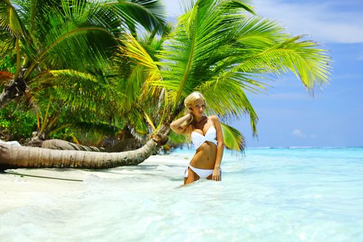 woman under palm sea on backgroud