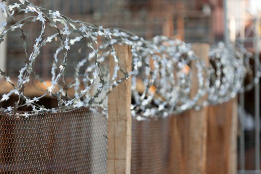 Security protection sharp metal barbed wire fence