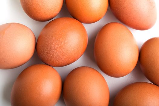 Brown chicken egg food white background isolated